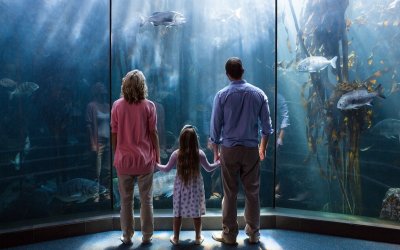 Snár: Akvárium v sne – rozbité či s množstvom rybičiek?