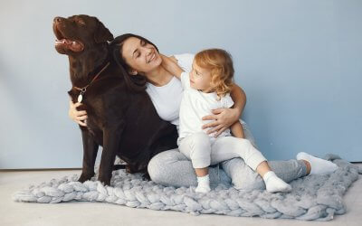 Ktoré sú najlepšie psy do rodiny s deťmi? Vyber si správne!