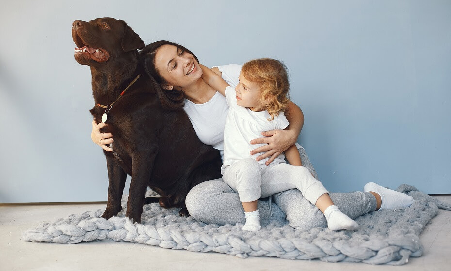 Ktoré sú najlepšie psy do rodiny s deťmi? Vyber si správne!