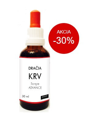 dračia krv