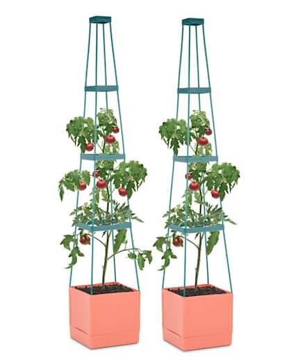 tomatotower