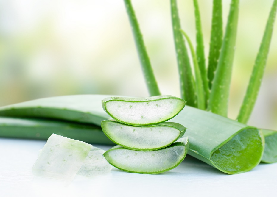 účinky aloe vera