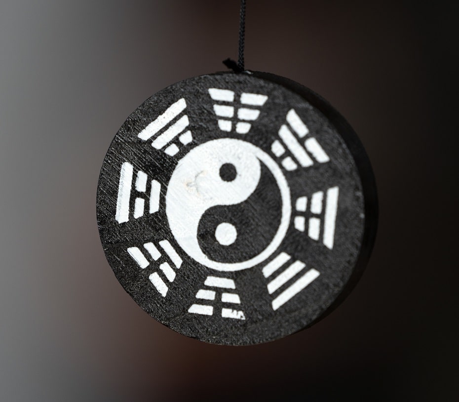 yin yang symbol partnerstvo